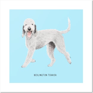 cute bedlington terrier dog Posters and Art